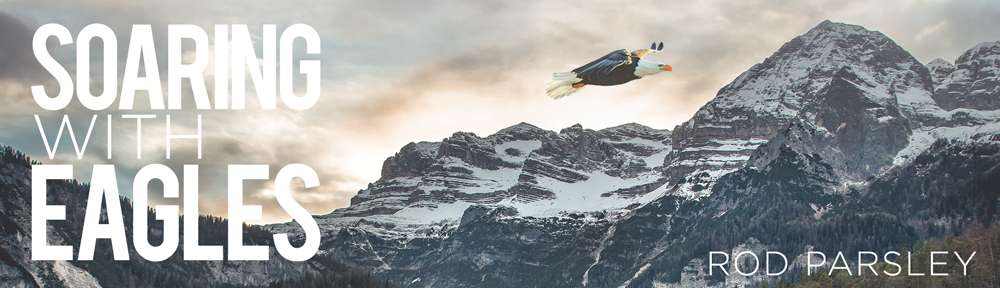 Soaring with Eagles