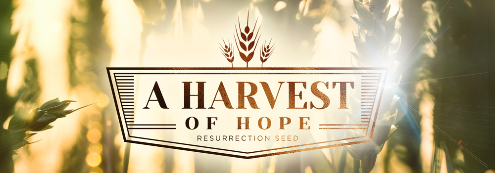 Season of Miracles! Resurrection Seed 2021