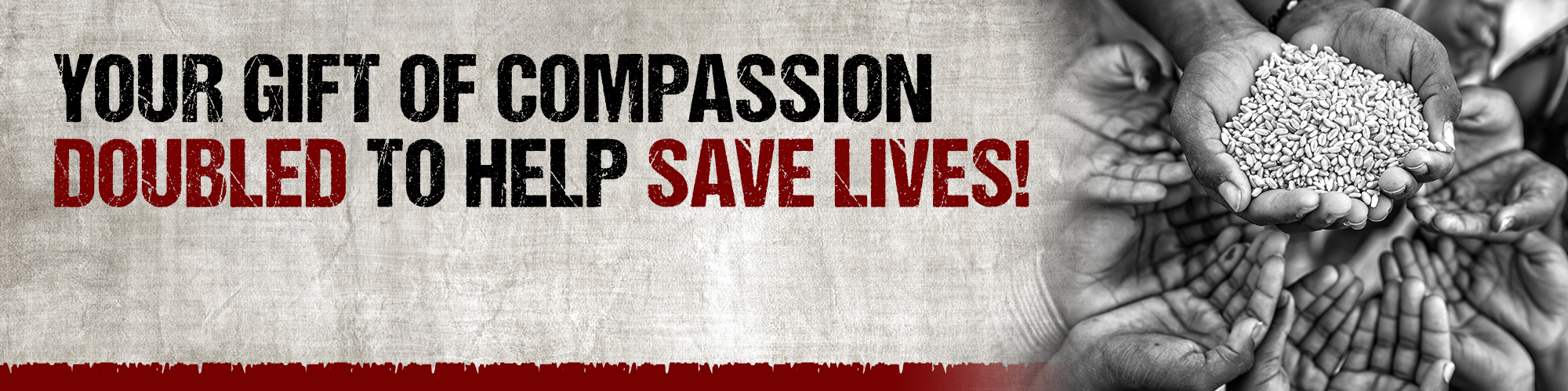 Your Gift of Compassion Doubled to Help Save Lives