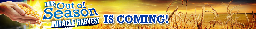 Your Out of Season Miracle Harvest Is Coming 