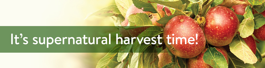 It’s supernatural harvest time!